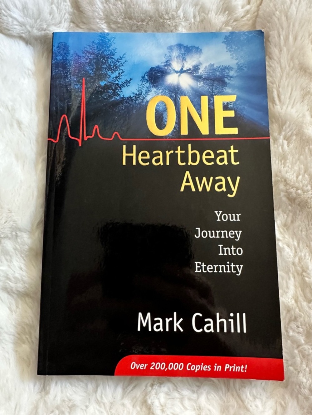 One Heartbeat Away by Mark Cahill - Black & Blue Cover